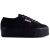 2790-Cotw Linea Up And Down